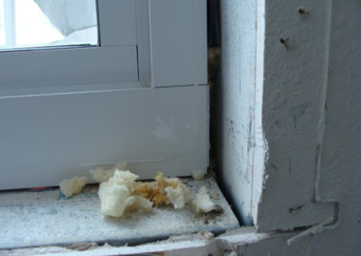 window and door remediation